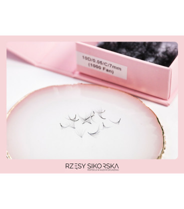 Rzęsy Sikorska - Gotowe Kępki Rzęs 10D/0,05 (1000 szt.) Black – Single Box