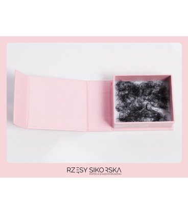 Rzęsy Sikorska - Gotowe Kępki Rzęs 12D/0,05 (1000 szt.) Black – Single Box