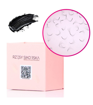 Rzęsy Sikorska - Gotowe Kępki Rzęs 4D/0,07 (250 szt.) Black – Small Single Box
