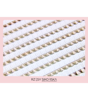 Rzęsy Sikorska - Gotowe Kępki Rzęs 4D/0,07 (1200 szt. 6-13) Black – Mix Palette