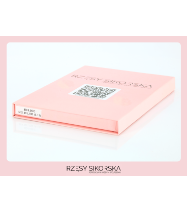 Rzęsy Sikorska - Gotowe Kępki Rzęs 8D/0,05 (1200 szt. 6-13) Black – Mix Palette