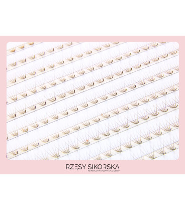 Rzęsy Sikorska - Gotowe Kępki Rzęs 5D/0,07 (1200 szt. 6-13) Dark Brown – Mix Palette