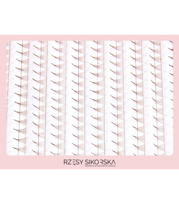 Rzęsy Sikorska - Gotowe Kępki Rzęs 8D/0,05 (1200 szt. 6-13) Dark Brown – Mix Palette