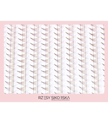Rzęsy Sikorska - Gotowe Kępki Rzęs 10D/0,05 (1200 szt. 6-13) Dark Brown – Mix Palette