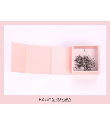 Rzęsy Sikorska - Gotowe Kępki Rzęs 2D/0,07 (250 szt.) Black – Small Single Box