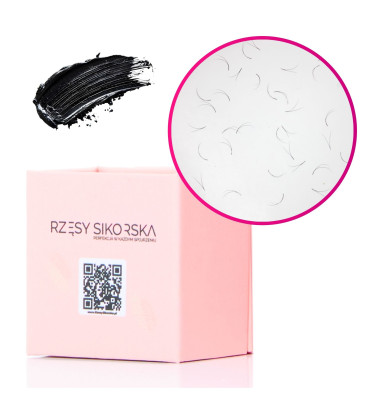Rzęsy Sikorska - Gotowe Kępki Rzęs 2D/0,07 (250 szt.) Black – Small Single Box