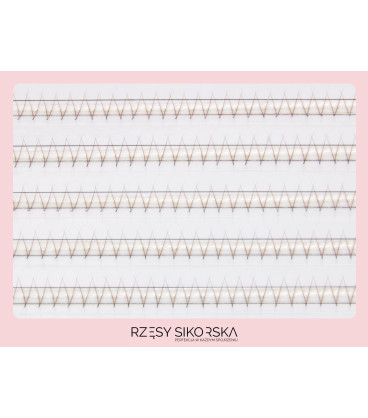 Rzęsy Sikorska - Gotowe Kępki Rzęs 2D/0,07 (1200 szt. 6-13) Dark Brown – Mix Palette