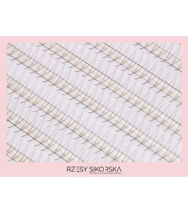 Rzęsy Sikorska - Gotowe Kępki Rzęs 2D/0,07 (1200 szt. 6-13) Dark Brown – Mix Palette