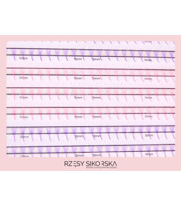Rzęsy Sikorska - Gotowe Kolorowe Kępki Rzęs 4D/0,07 (1200 szt. 10-13)