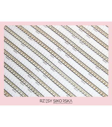 Rzęsy Sikorska - Gotowe Kępki Rzęs 2D/0,07 (1200 szt. ) Black – Mix Palette