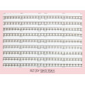 Gotowe Kępki Rzęs 4D/0,07 (1200 szt.) Black – Single Palette Gotowe Kępki Rzęs 4D/0,07 (1200 szt.) Black – Single Palette