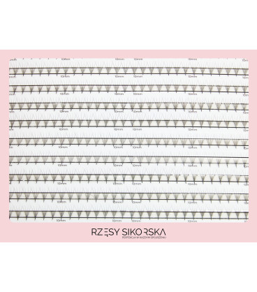 Rzęsy Sikorska - Gotowe Kępki Rzęs 4D/0,07 (1200 szt. ) Black – Mix Palette