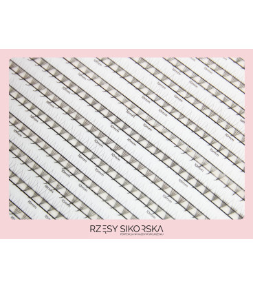 Rzęsy Sikorska - Gotowe Kępki Rzęs 4D/0,07 (1200 szt. ) Black – Mix Palette