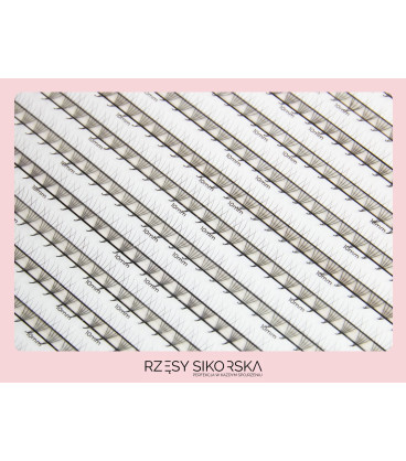 Rzęsy Sikorska - Gotowe Kępki Rzęs 5D/0,07 (1200 szt. ) Black – Mix Palette