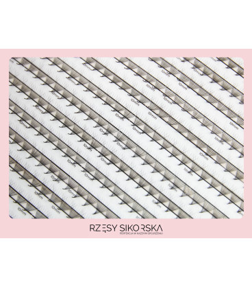 Rzęsy Sikorska - Gotowe Kępki Rzęs 8D/0,07 (1200 szt. ) Black – Mix Palette